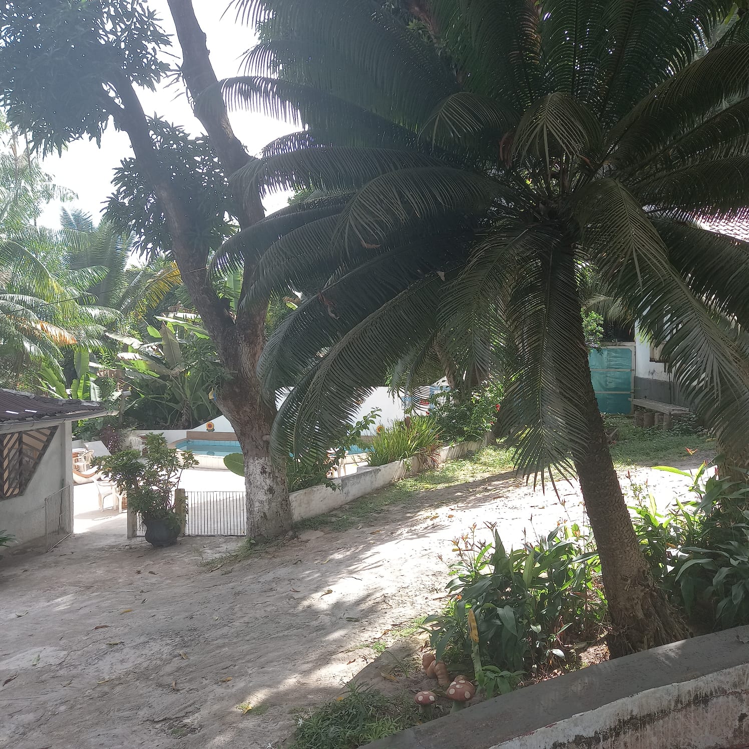 Frente para Reserva Florestal - Vista 4